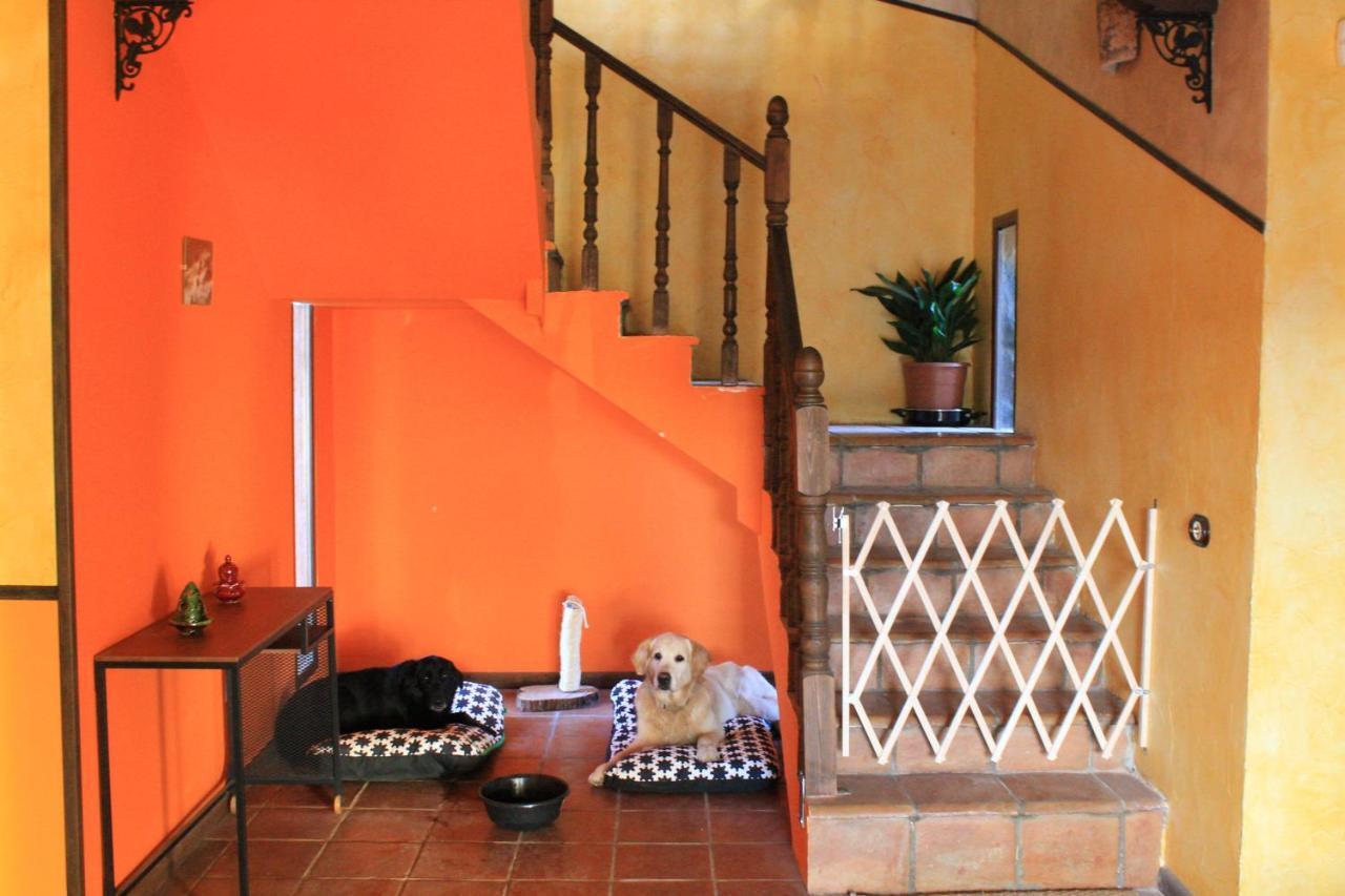 Casa Rural Baobab Romancos Eksteriør billede